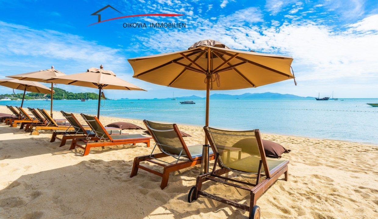 beautiful-tropical-beach-sea-ocean-with-coconut-palm-tree-umbrella-chair-blue-sky (1)