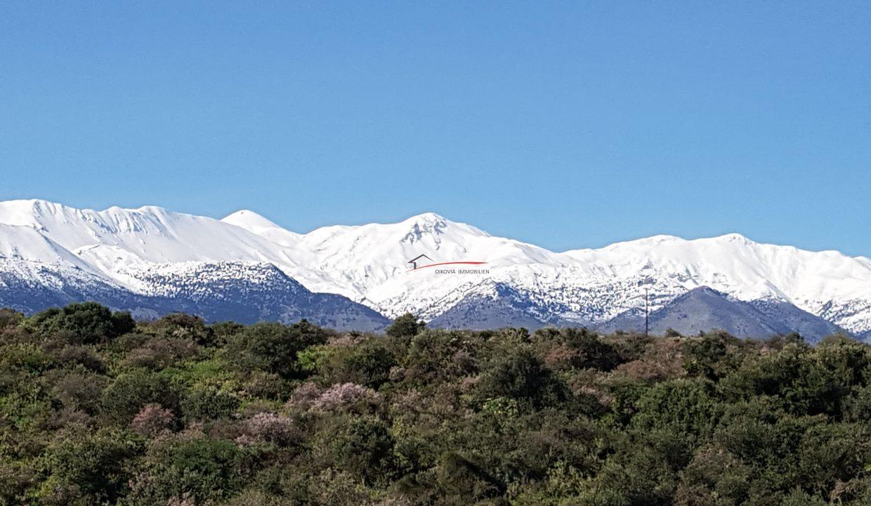 View-to-White-Mountains